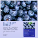 BIOAQUA Blueberry Moisturizing Face Sheet Mask - 25g